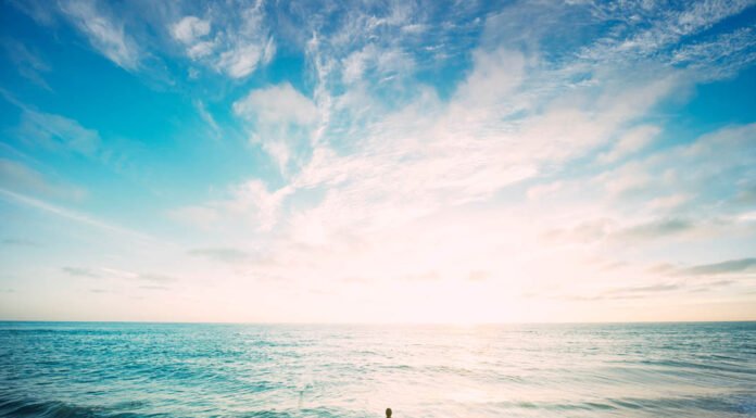 Discover the Birth Place of Pizza